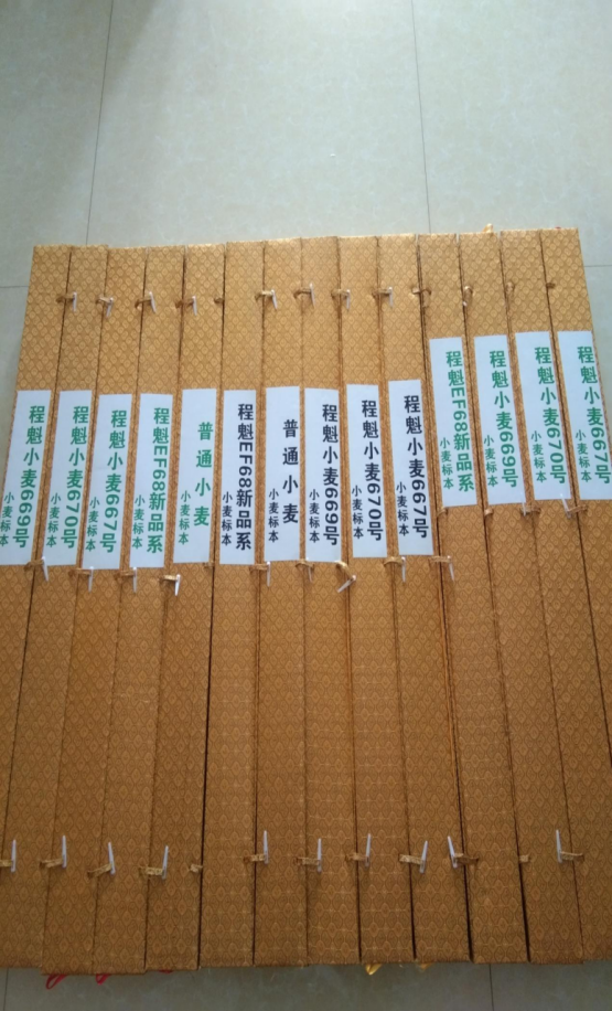 小麦科技研究院（百度百科）671.png